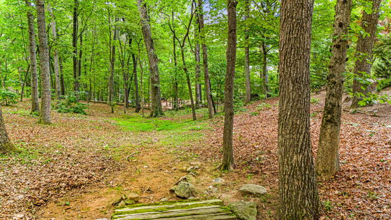 Wooded Surroundings