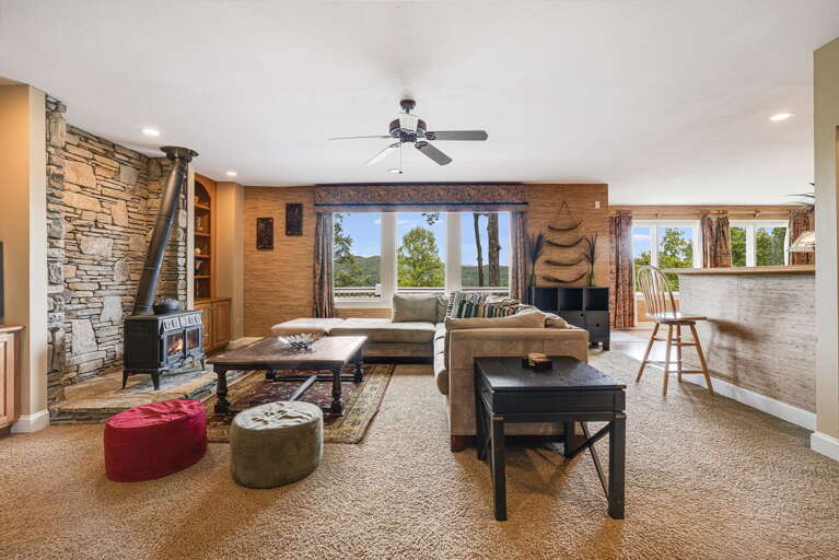 Lower Level - Living Area w/ Wood Burning Stove & TV