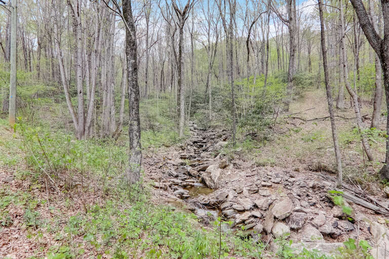 Creek Running Through Property