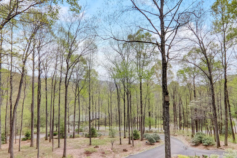 Seasonal Mountain Views from Deck