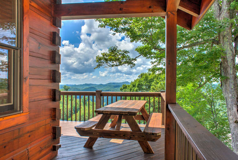 Picnic Table on Deck