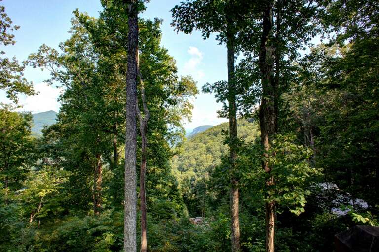 Mountain Views & Wooded Surroundings