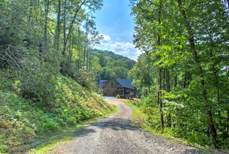 Lovely Wooded Surroundings at Blue Iris Retreat