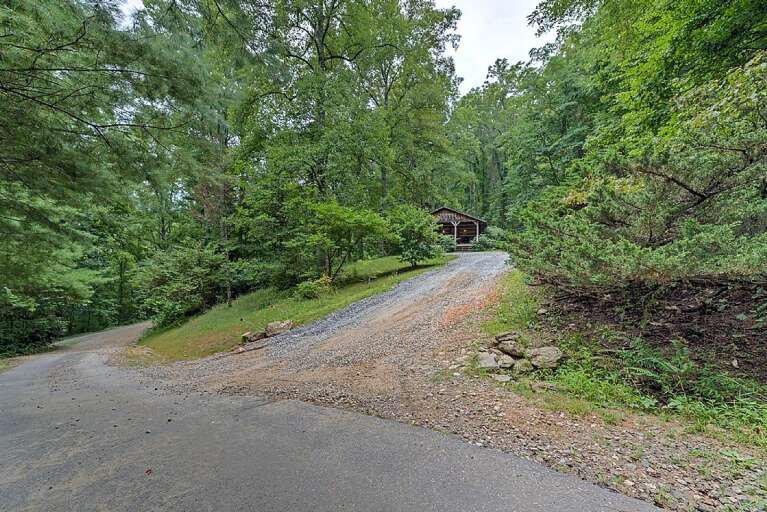 Driveway to Busbee Cabin