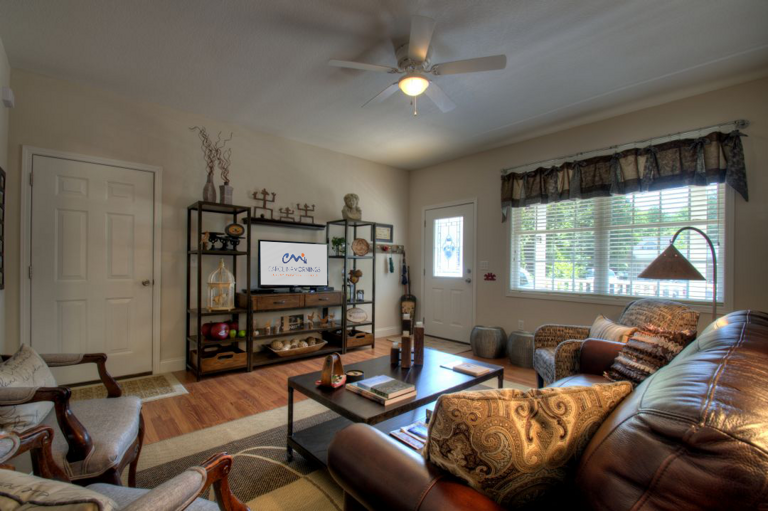 Smart TV in the Living Area