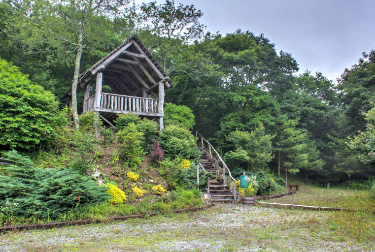 Wolf Laurel Community