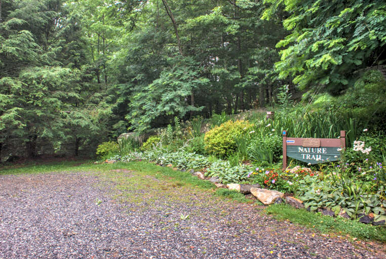 Wolf Laurel Community
