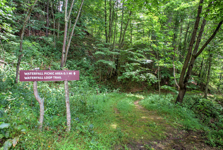 Wolf Laurel Community