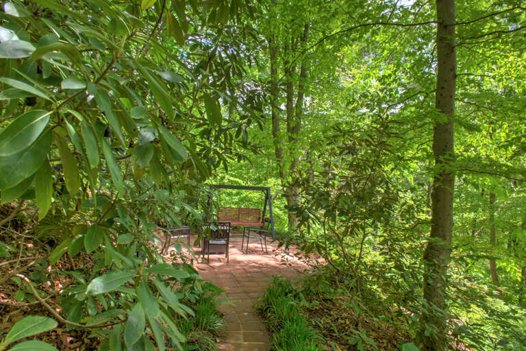 Pathway Leading To Fire Pit Area