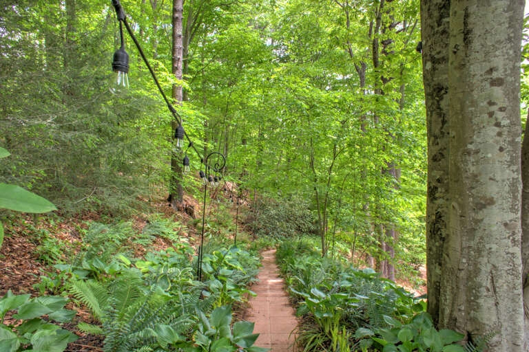Pathway Leading To Fire Pit Area