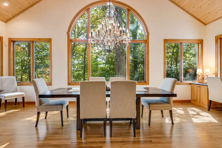 Mountain Elegance Juxtaposed With the Mountain Forest