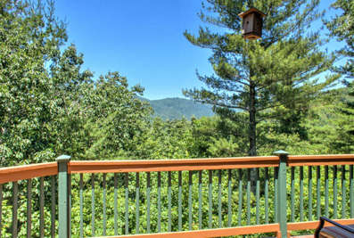 Mountain Views