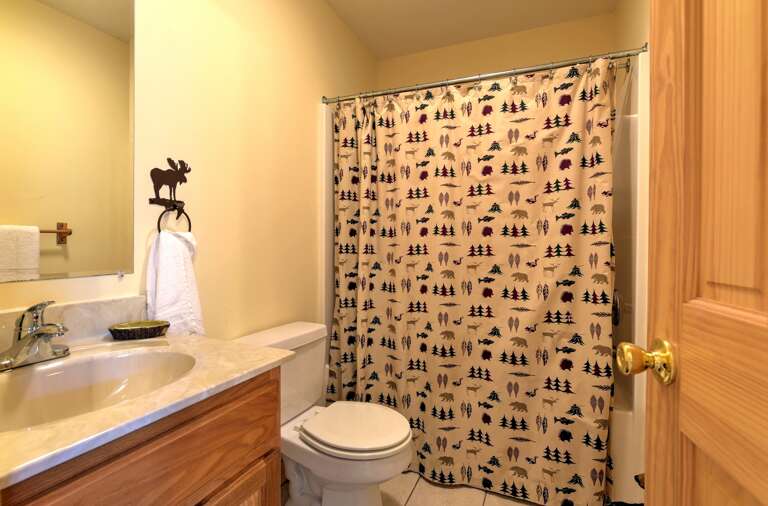 Lower Level - Full Bath