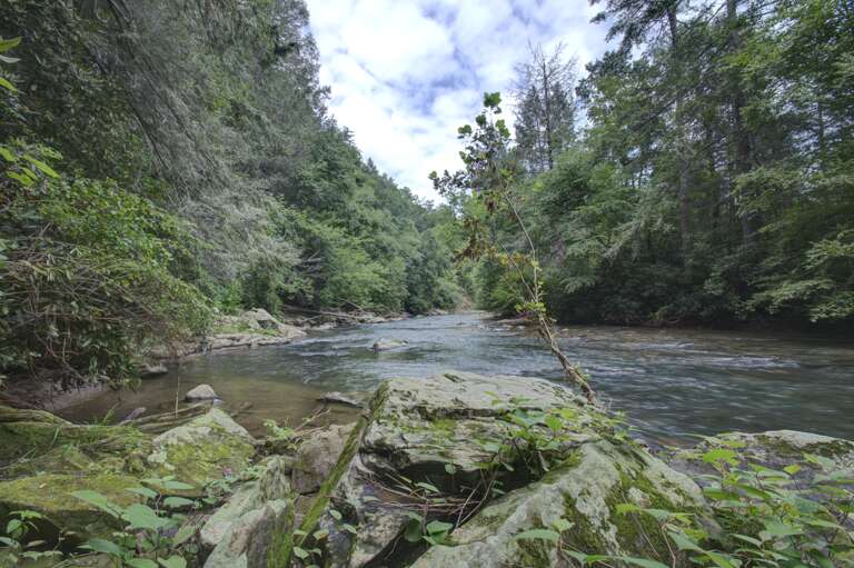 Downriver View Downriver View