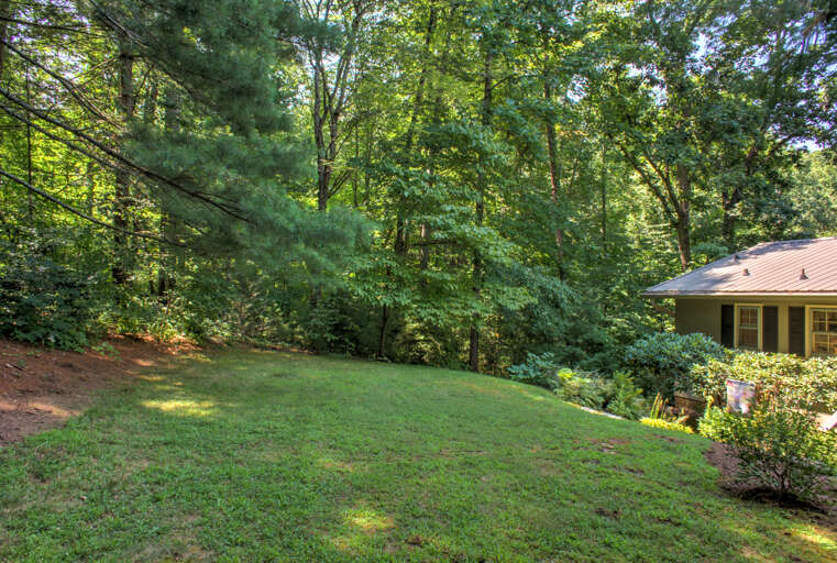 Grassy Yard Grassy Yard