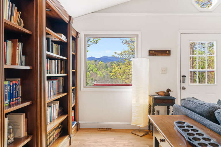 Picture View of the Mountains