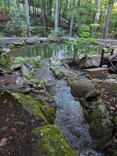 Community Park - Pond