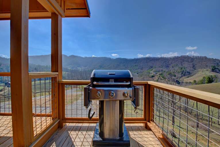 Gas Grill