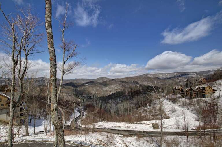 Winter Views