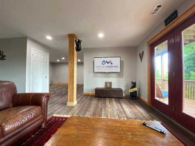 Lower Level-Living Area-With Pull-out Futon