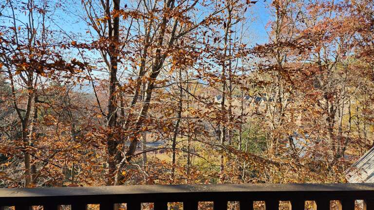 Covered Deck w/ Wooded Views Covered Deck w/ Wooded Views