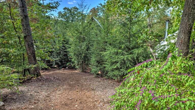 Short Inclined Walk to Cabin - Summer