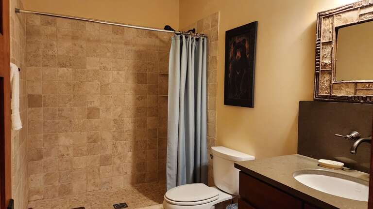 Lower Level - Shower Bath