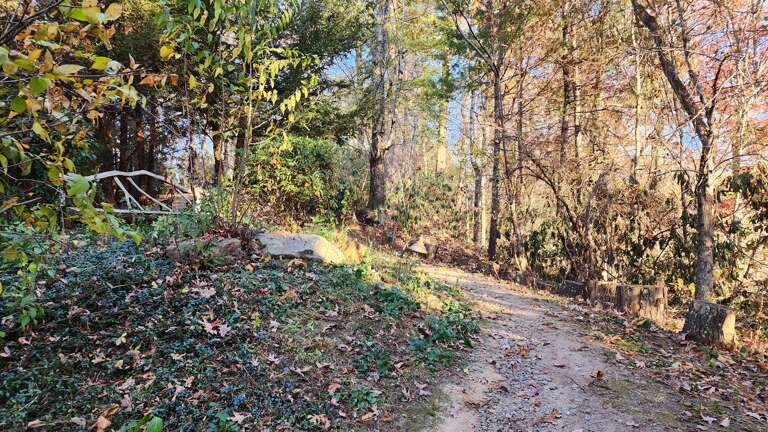 Path to Cabins