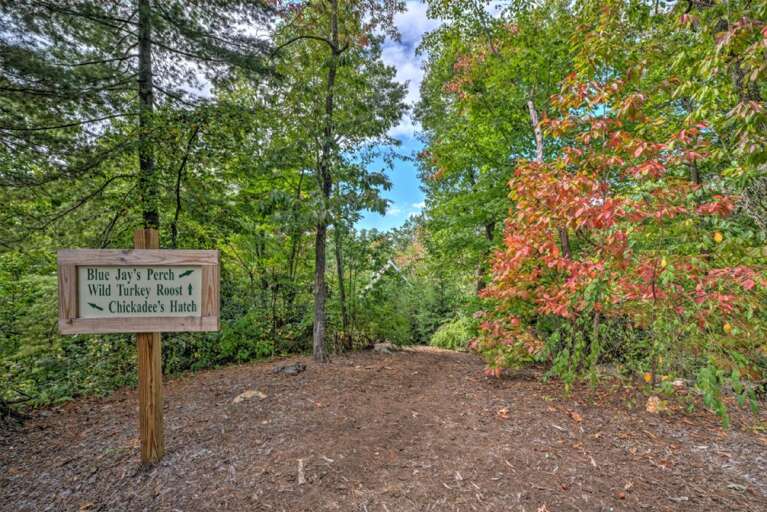 Short Walk to Cabins