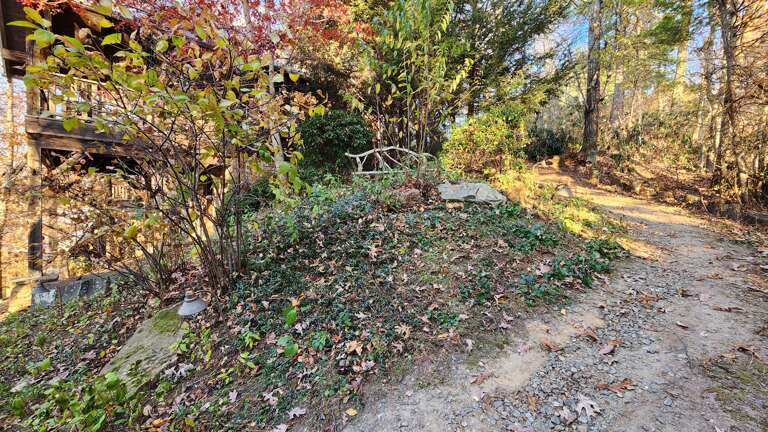 Path to Cabins