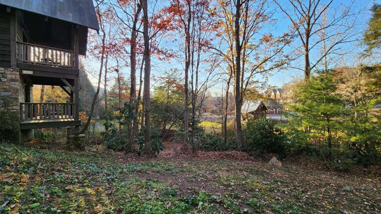 View of Village of Cheshire from Woodpecker's Hollow