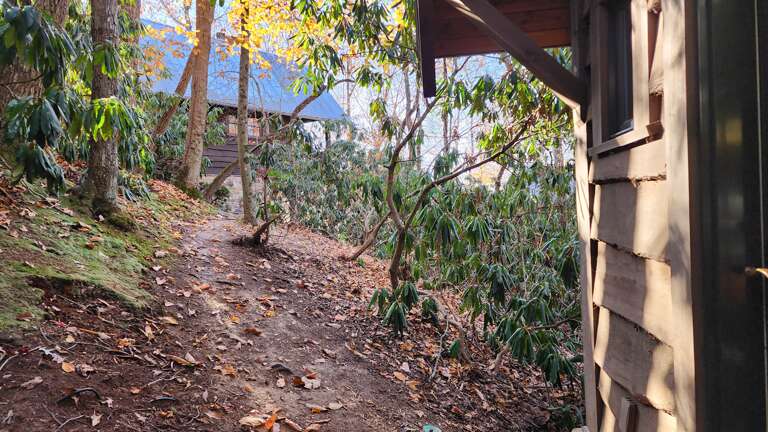 Path around Wren's Den