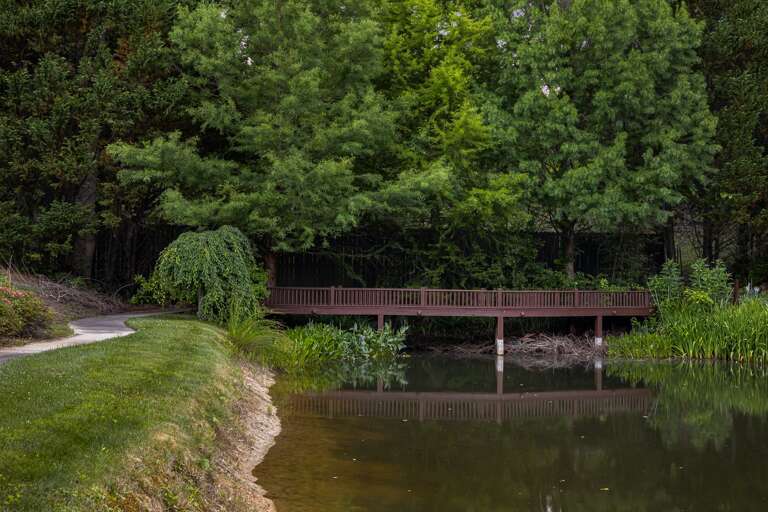 On-Site Walking Path To the Gazebo