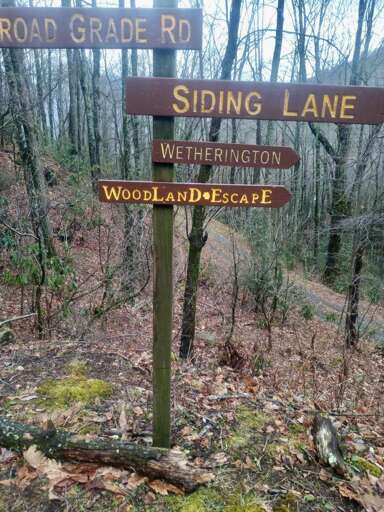 Woodland Escape