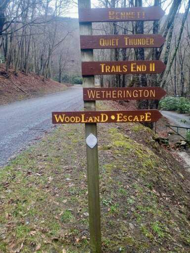 Woodland Escape