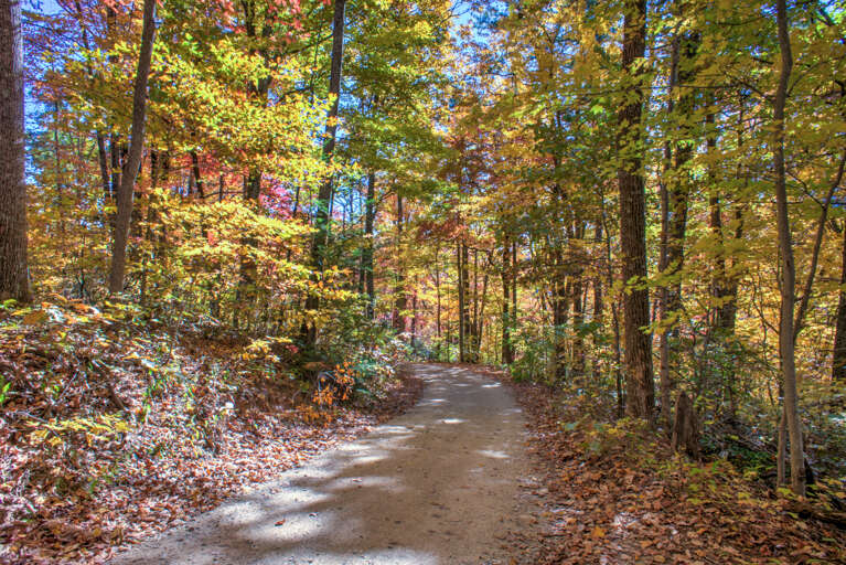 Driveway to Serenity Escape