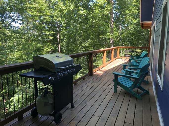Deck Seating and Grill