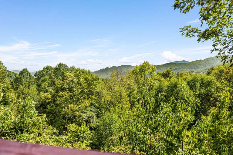 Year-Round Mountain Views