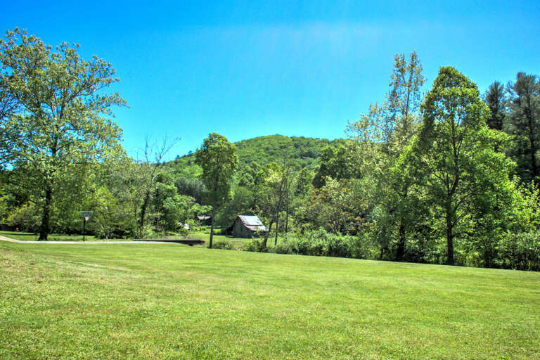 Large Front Yard