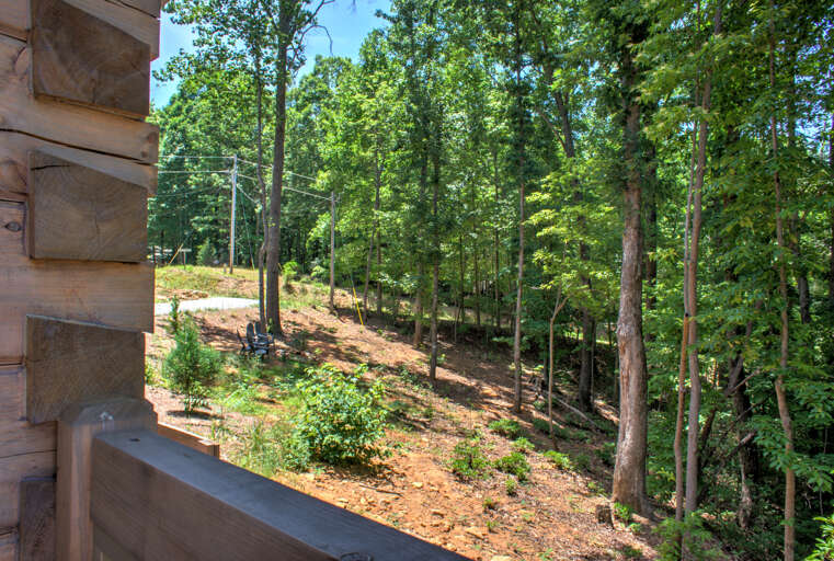 Wooded Views