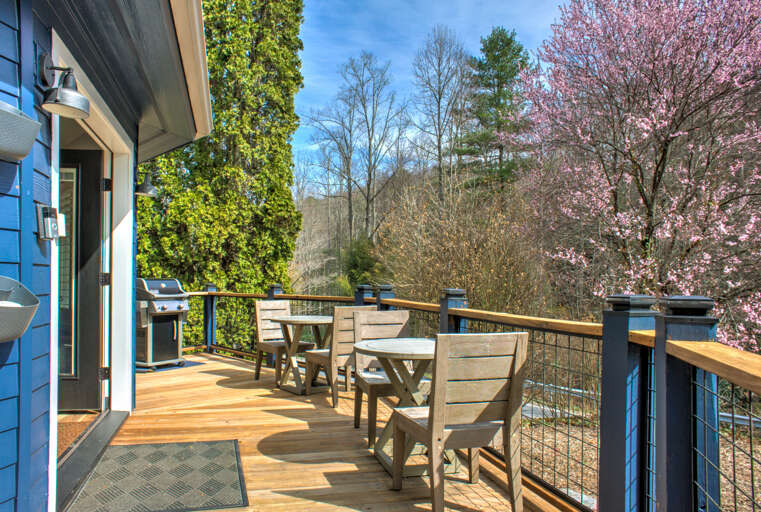 Deck w/ Gas Grill and Outdoor Seating