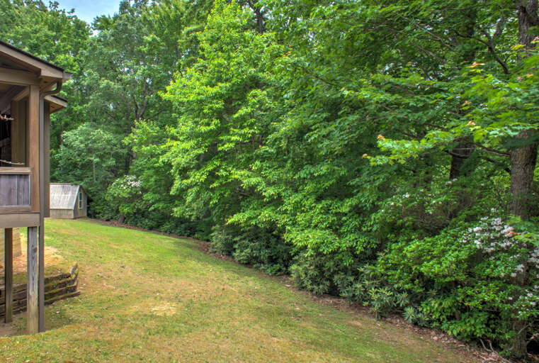 Wooded Surroundings