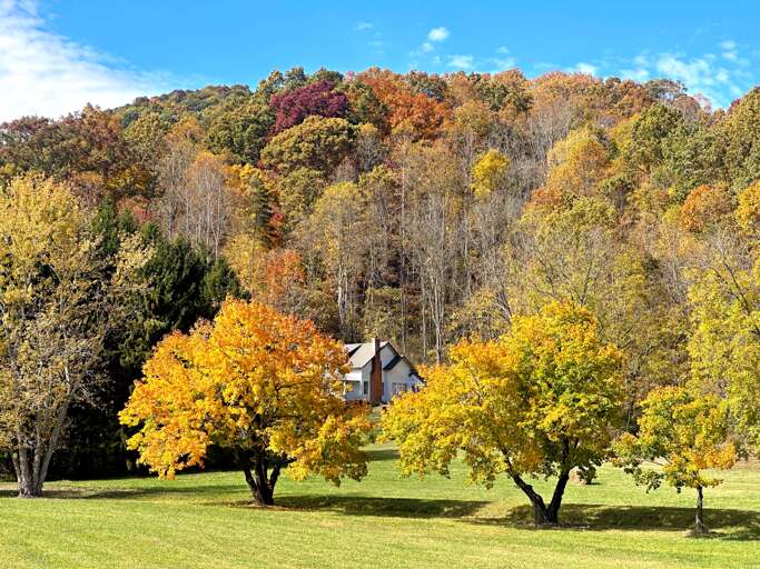 View from River Bank Retreat - Fall