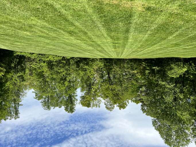 Large Open Field Near Hilltop Haven