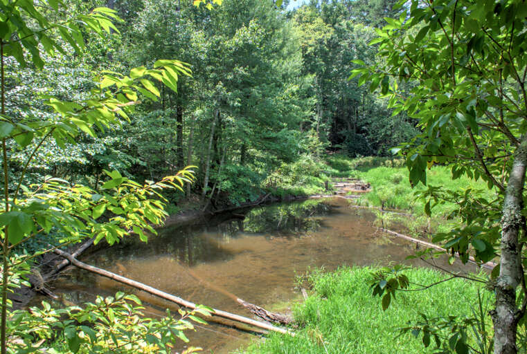 Natural Wildlife Setting at Bent Creek Retreat