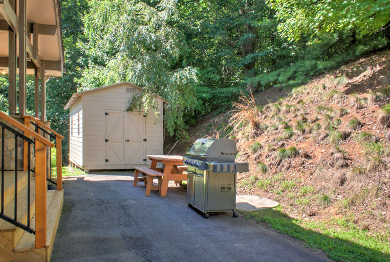 Gas Grill for a Family Picnic