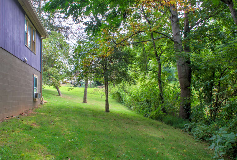 Picnic under the Tree Canopy