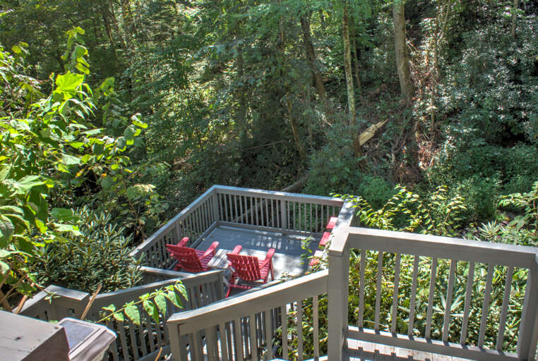 Lush Natural Surroundings