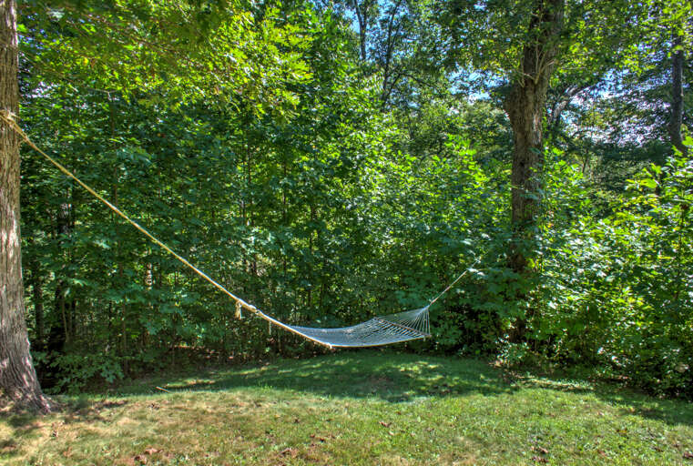 Hammock Perfect for Lounging under the Trees