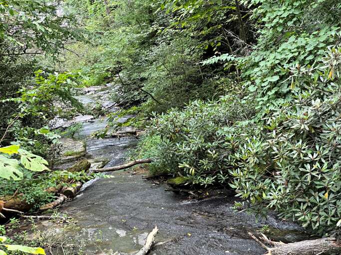 Delight in Nature's Splendor